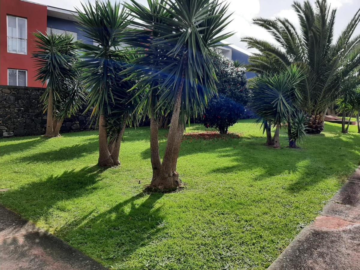 Casa Das Yucas - Patio Apartment Capelas Buitenkant foto